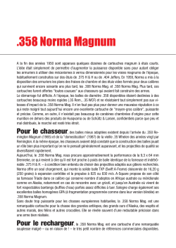 .358 Norma Magnum