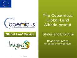 The Copernicus Global Land Albedo product