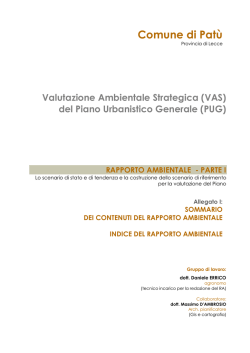 File: RA PATU ALLEGATO I SOMMARIO RA