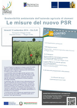 Le misure del nuovo PSR