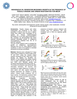 indigenous oil reservoir microbes growth in the presence of tequila