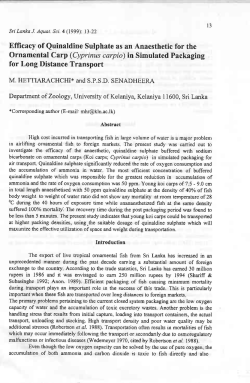 Efficacy of Quinaldine Sulphate as an Anaesthetic for the