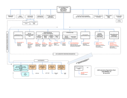 LIGO Org Chart pdf