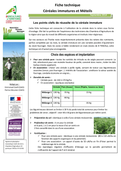 fiche technique C&eacute;r&eacute;ales immatures et m&eacute;teils