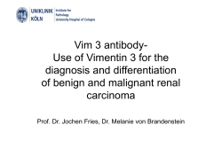 Vim3 antibody - Use of Vimentin3 for the diagnosis