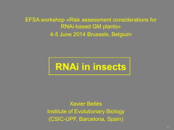 Xavier Bellés – RNAi in insects