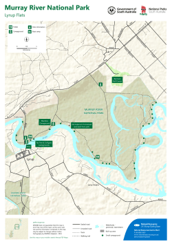 Lyrup Flats map - Department of Environment, Water and Natural