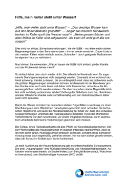 Hilfe, mein Keller steht unter Wasser - Stadtentwässerungsbetriebe
