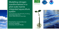 Modelling nitrogen transformations in a pilot scale marine integrated