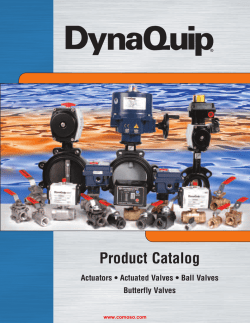 DynaQuip Automated Valves