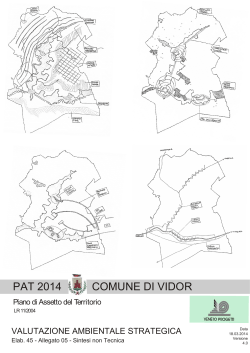 PAT 2014 COMUNE DI VIDOR