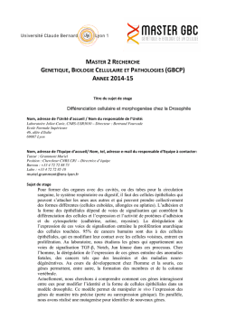 Diff&eacute;renciation cellulaire et morphogen&egrave;se chez la Drosophile