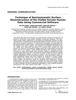 Technique of semiautomatic surface reconstruction