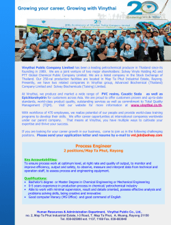 Growing your career, Growing with Vinythai