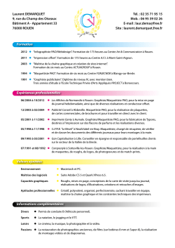 curriculum vitae - L. DEMARQUET