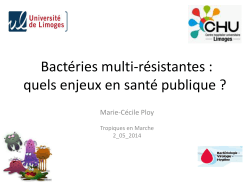 Bactéries multi-résistantes : quels enjeux en santé