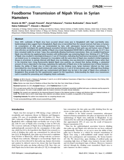 Download PDF - BioMedSearch