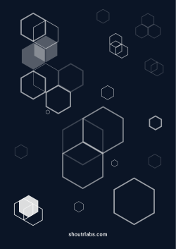 shoutrlabs.com
