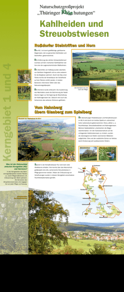 Was ist der Unterschied zwischen Kerngebiet (KG) und Kernzone?