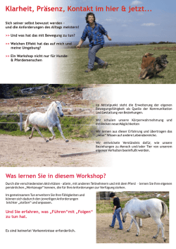 Was lernen Sie in diesem Workshop? - Moven