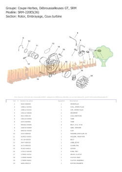 Groupe: Coupe-Herbes, D&eacute;broussailleuses GT, SRM Mod&egrave;le: SRM