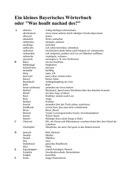 Ein kleines Bayerisches W&ouml;rterbuch oder "Was - mymuenchen.info