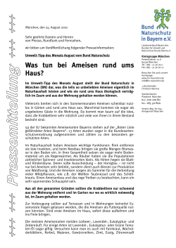 Was tun bei Ameisen rund ums Haus? - Bund Naturschutz in Bayern