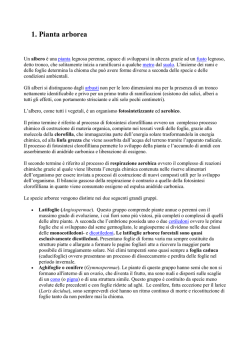 appunti corso botanica forestale 1 - ATA