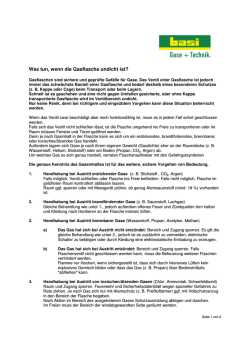 Was tun, wenn die Gasflasche undicht ist?