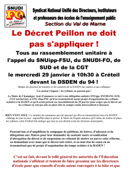 Communiqué du SNUDI