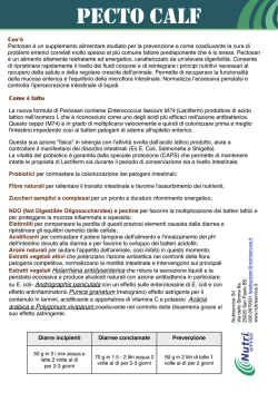 download scheda pdf