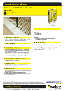 Fiche produit imprimable (PDF) weber mortier chrono