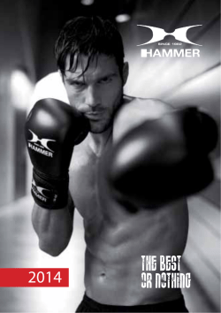 Hammer Boxe - E