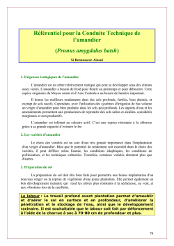 R&eacute;f&eacute;rentiel pour la Conduite Technique de l