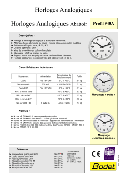 Horloges Analogiques Abattoir Profil 940A