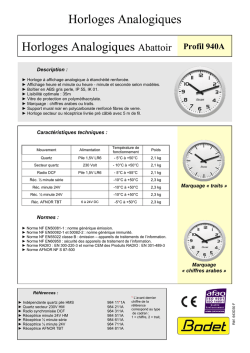 Horloges Analogiques Abattoir Profil 940A