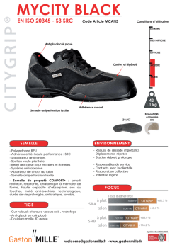 fiche pdf - A