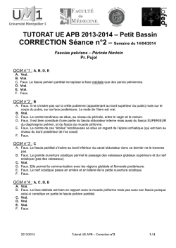 CORRECTION S&eacute;ance n RRECTION S&eacute;ance n&deg;2
