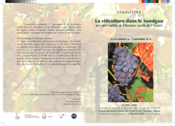La viticulture dans le Sundgau