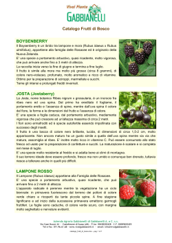 Catalogo Frutti di bosco - Vivai Piante Gabbianelli