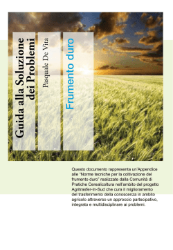 Guida Grano duro