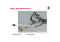 Hilfe - Schimmel - was tun? - architektur-magdeburg.de