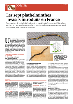 Les sept plathelminthes invasifs introduits en France