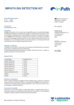 IMPATH ISH DETECTION KIT - Menarinidiagnostics.com