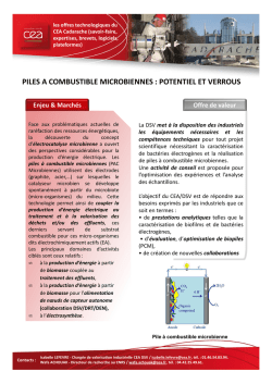 4 - CEA - FM - Piles &agrave; combustible microbiennes