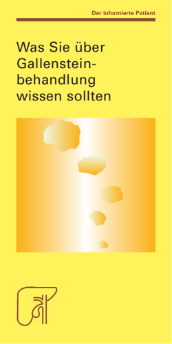 Was Sie über Gallenstein- behandlung wissen sollten - Dr. Falk