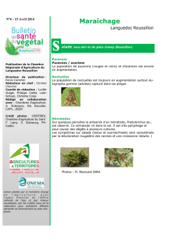 BSV Maraîchage N°6 du 15 Avril 2014
