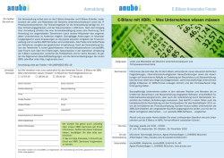 E-Bilanz mit XBRL - Was Unternehmen wissen m&uuml;ssen - brainGuide