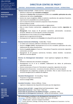 DIRECTEUR CENTRE DE PROFIT