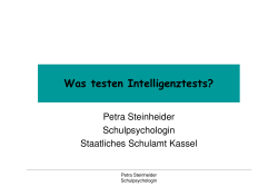 Was testen Intelligenztests Steinheider - Schule